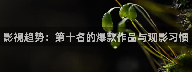 满江红在线观看策驰影院