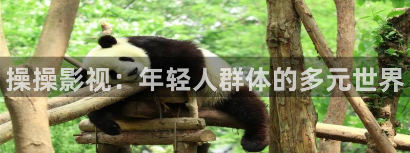 人生若只如初见策驰影院