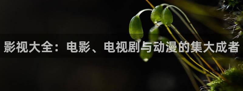策驰 影院