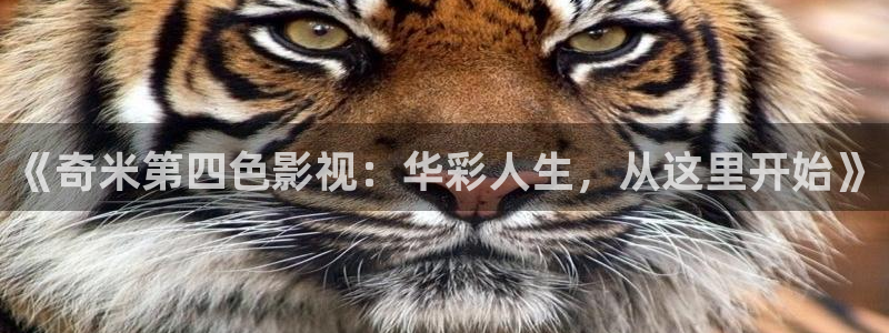 叛逆者策驰影院免费观看