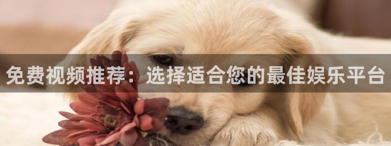 三十而已策驰影院