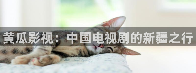 策驰影院电视剧免费策驰电影高清在